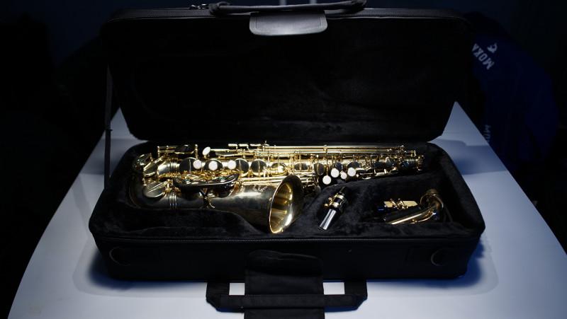 forbruge Martin Luther King Junior eksplicit Chateau CAS-21CVL alt saxofon - Købt fra Danguitar - Blokfløjte - soundtrade